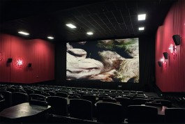  Antoine-Wagner-artist-opera-photography-video