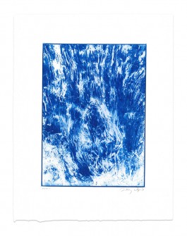  Antoine-Wagner-artist-opera-photography-video