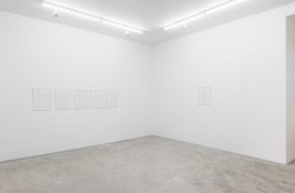  Antoine-Wagner-artist-opera-photography-video