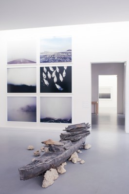  Antoine-Wagner-artist-opera-photography-video