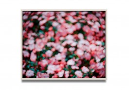  Antoine-Wagner-artist-opera-photography-video