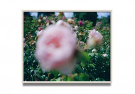  Antoine-Wagner-artist-opera-photography-video