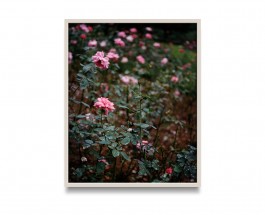  Antoine-Wagner-artist-opera-photography-video