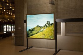  Antoine-Wagner-artist-opera-photography-video