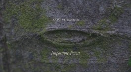  Antoine-Wagner-artist-opera-photography-video