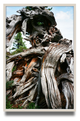 Antoine-Wagner-artist-opera-photography-video